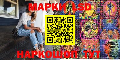 МДПВ Канаш