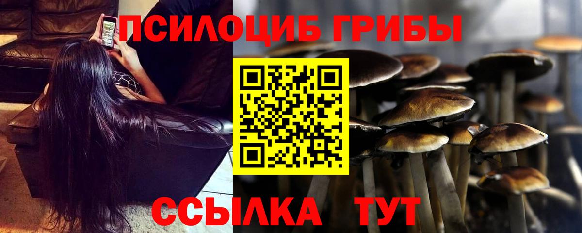 Комсомольск-на-Амуре  Галлюциногенные грибы Cubensis  Галлюциногенные грибы Cubensis  купить   Вход с VPN 